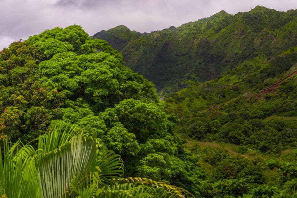 Hale Ho'O Maha Bed And Breakfast Hanalei Εξωτερικό φωτογραφία